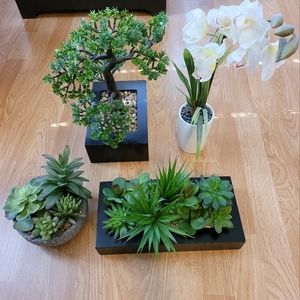 $25 for all artificial plants